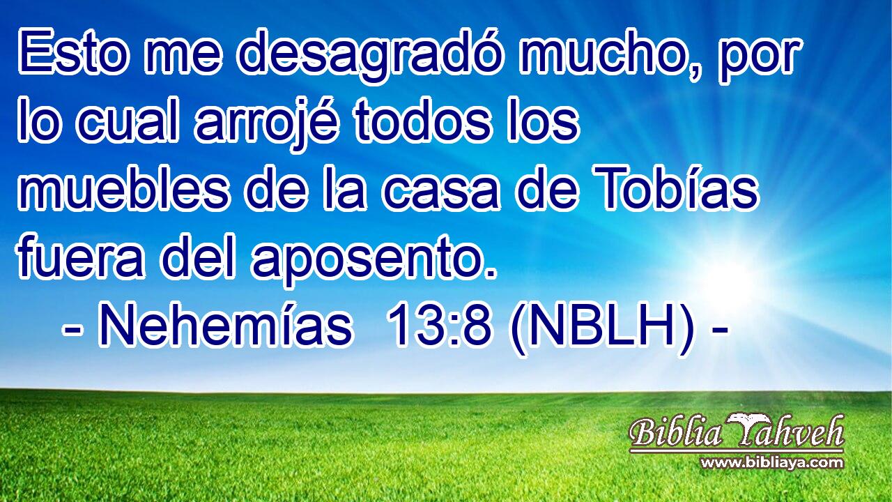  Esto me desagradó mucho, por lo cual arrojé todos los muebles de la casa de Tobías fuera del aposento. 