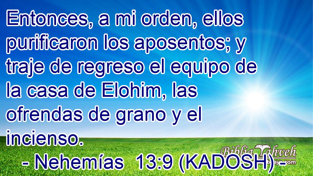 Entonces, a mi orden, ellos purificaron los aposentos; y traje de regreso el equipo de la casa de Elohim, las ofrendas de grano y el incienso. 