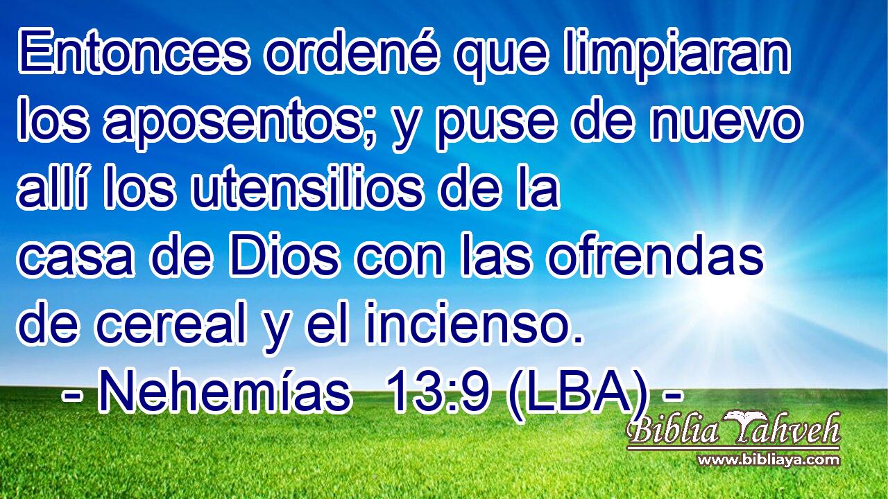 Entonces ordené que limpiaran los aposentos; y puse de nuevo allí los utensilios de la casa de Dios con las ofrendas de cereal y el incienso.