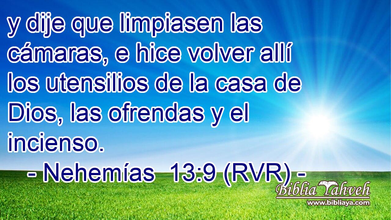 y dije que limpiasen las cámaras, e hice volver allí los utensilios de la casa de Dios, las ofrendas y el incienso.