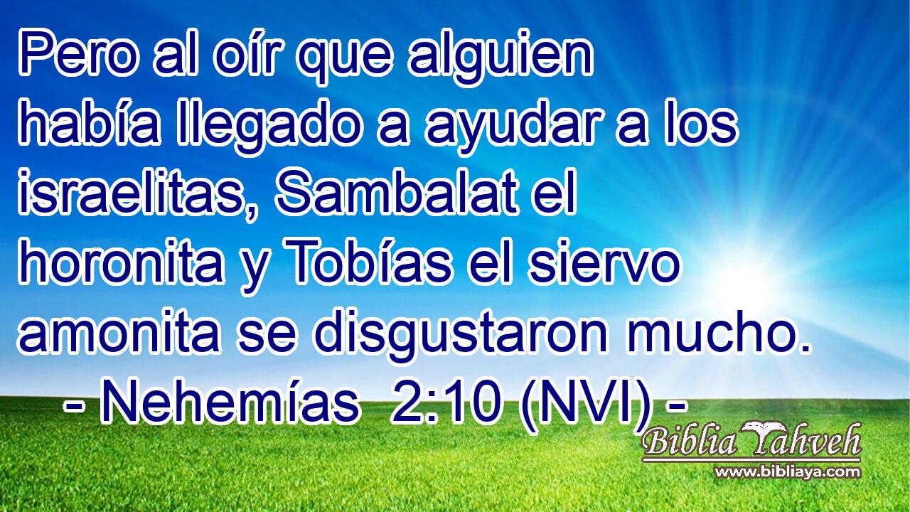  Pero al oír que alguien había llegado a ayudar a los israelitas, Sambalat el horonita y Tobías el siervo amonita se disgustaron mucho. 