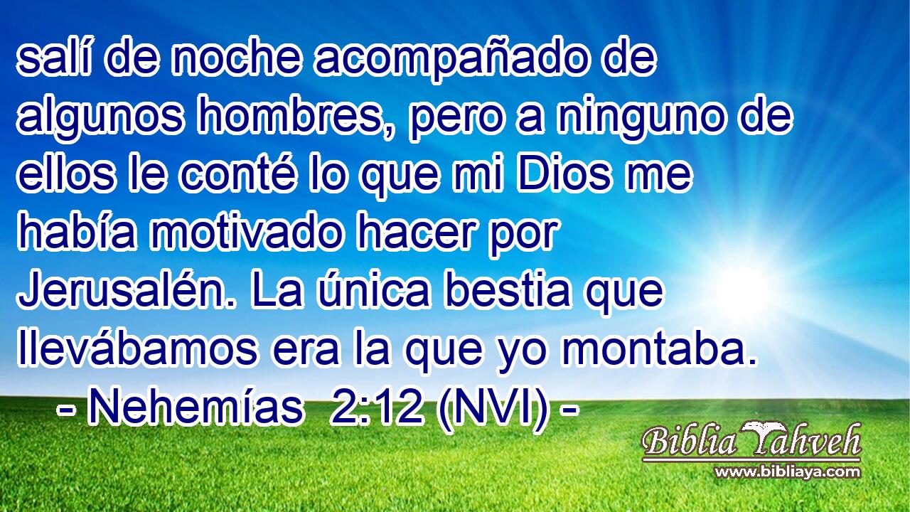  salí de noche acompañado de algunos hombres, pero a ninguno de ellos le conté lo que mi Dios me había motivado hacer por Jerusalén. La única bestia que llevábamos era la que yo montaba. 