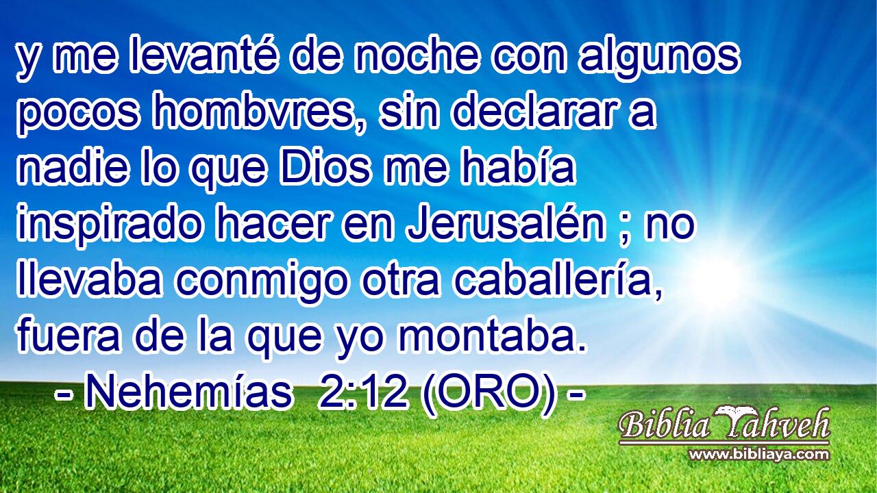  y me levanté de noche con algunos pocos hombvres, sin declarar a nadie lo que Dios me había inspirado hacer en Jerusalén ; no llevaba conmigo otra caballería, fuera de la que yo montaba. 