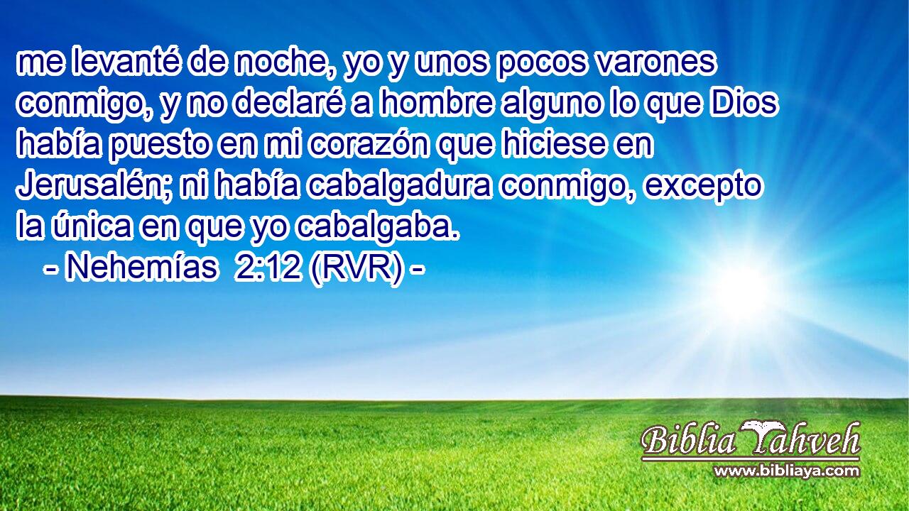 me levanté de noche, yo y unos pocos varones conmigo, y no declaré a hombre alguno lo que Dios había puesto en mi corazón que hiciese en Jerusalén; ni había cabalgadura conmigo, excepto la única en que yo cabalgaba.