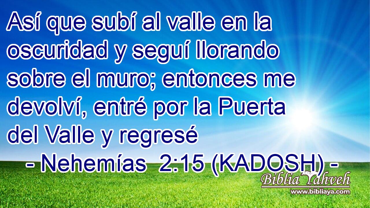  Así que subí al valle en la oscuridad y seguí llorando sobre el muro; entonces me devolví, entré por la Puerta del Valle y regresé 
