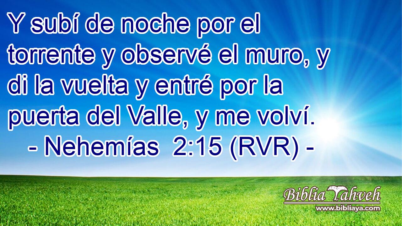 Y subí de noche por el torrente y observé el muro, y di la vuelta y entré por la puerta del Valle, y me volví.