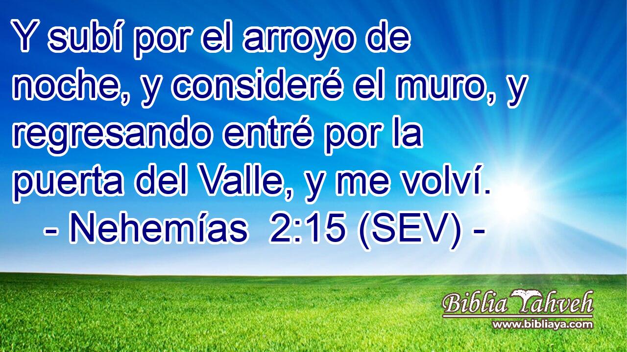 Y subí por el arroyo de noche, y consideré el muro, y regresando entré por la puerta del Valle, y me volví.