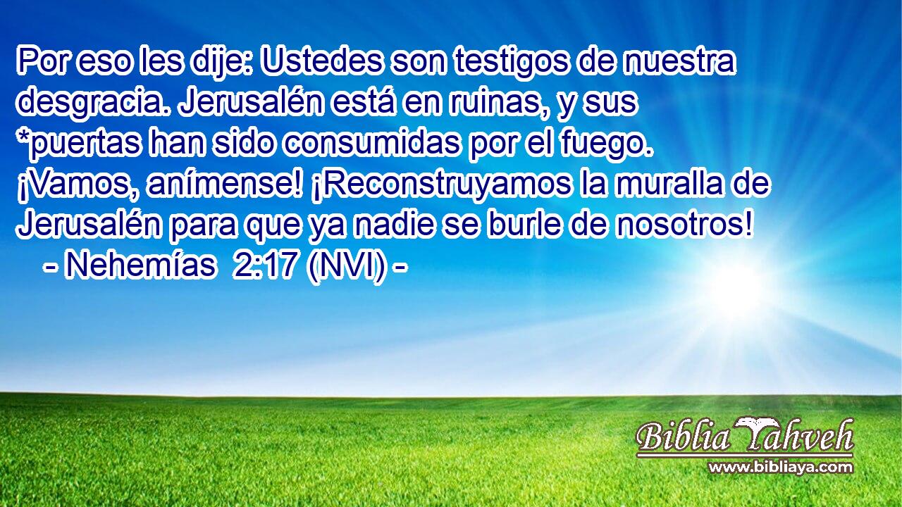  Por eso les dije: Ustedes son testigos de nuestra desgracia. Jerusalén está en ruinas, y sus *puertas han sido consumidas por el fuego. ¡Vamos, anímense! ¡Reconstruyamos la muralla de Jerusalén para que ya nadie se burle de nosotros! 