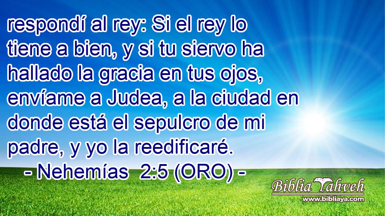  respondí al rey: Si el rey lo tiene a bien, y si tu siervo ha hallado la gracia en tus ojos, envíame a Judea, a la ciudad en donde está el sepulcro de mi padre, y yo la reedificaré. 