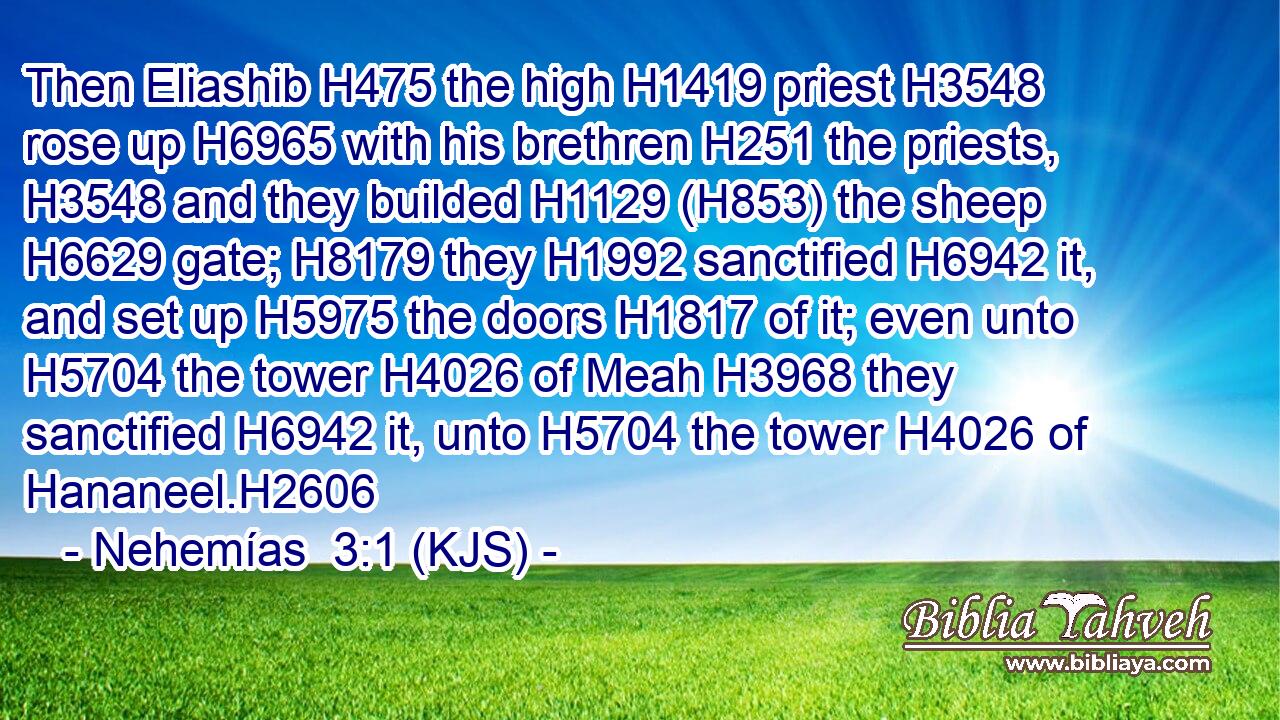 Then Eliashib H475 the high H1419 priest H3548 rose up H6965 with his brethren H251 the priests, H3548 and they builded H1129 (H853) the sheep H6629 gate; H8179 they H1992 sanctified H6942 it, and set up H5975 the doors H1817 of it; even unto H5704 the tower H4026 of Meah H3968 they sanctified H6942 it, unto H5704 the tower H4026 of Hananeel.H2606