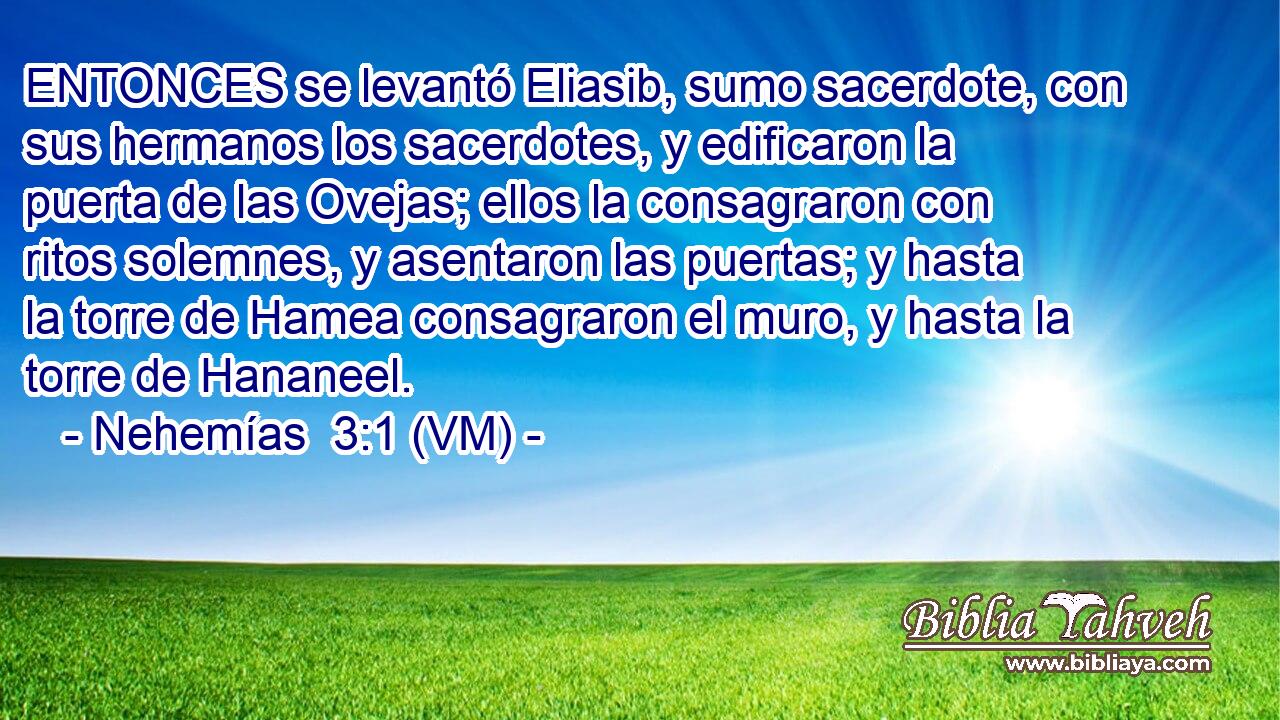  ENTONCES se levantó Eliasib, sumo sacerdote, con sus hermanos los sacerdotes, y edificaron la puerta de las Ovejas; ellos la consagraron con ritos solemnes, y asentaron las puertas; y hasta la torre de Hamea consagraron el muro, y hasta la torre de Hananeel. 