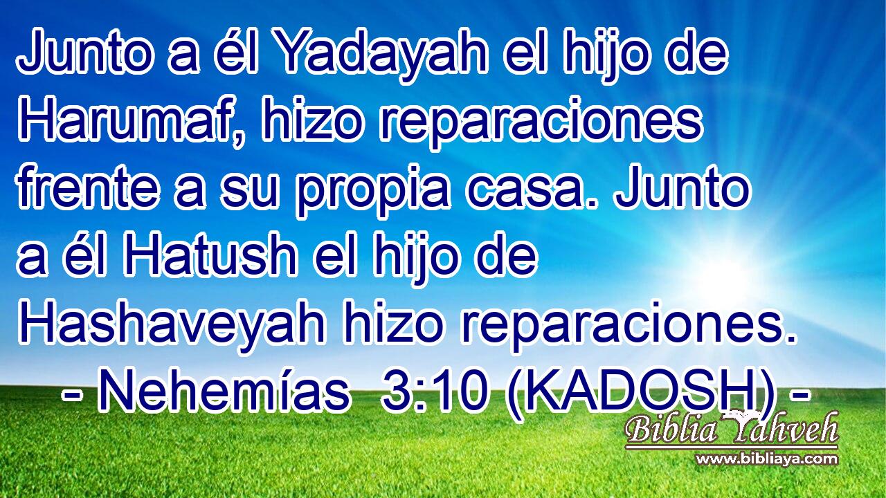  Junto a él Yadayah el hijo de Harumaf, hizo reparaciones frente a su propia casa. Junto a él Hatush el hijo de Hashaveyah hizo reparaciones. 