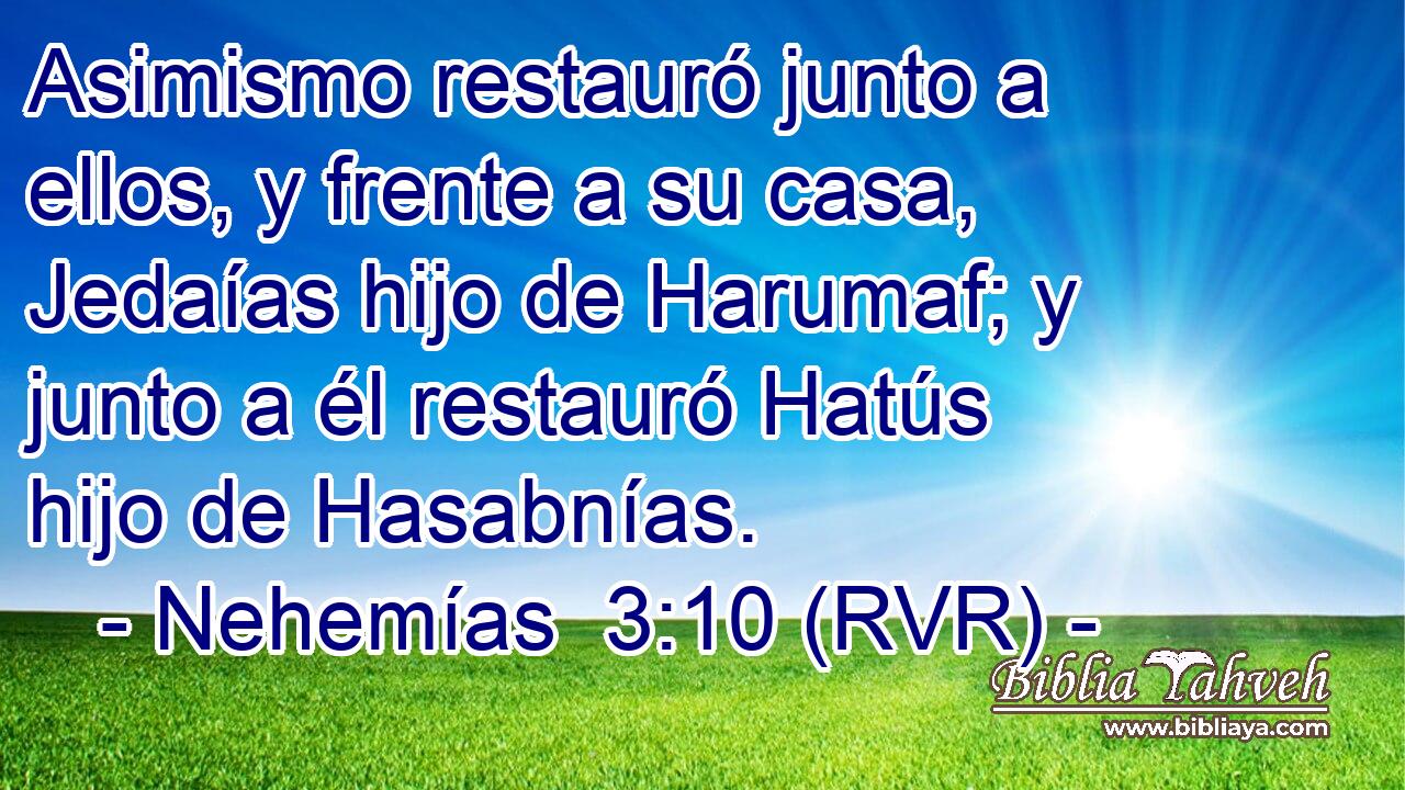 Asimismo restauró junto a ellos, y frente a su casa, Jedaías hijo de Harumaf; y junto a él restauró Hatús hijo de Hasabnías.