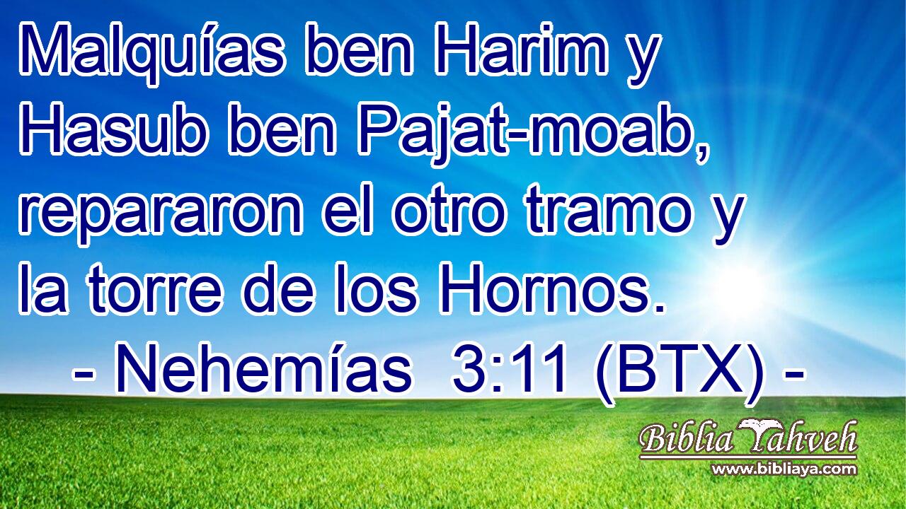 Malquías ben Harim y Hasub ben Pajat-moab, repararon el otro tramo y la torre de los Hornos.