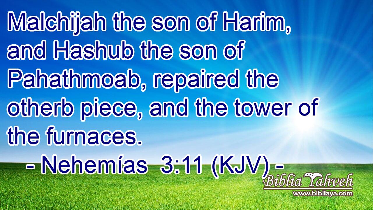 Malchijah the son of Harim, and Hashub the son of Pahathmoab, repaired the otherb piece, and the tower of the furnaces.