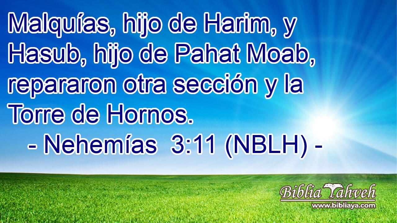  Malquías, hijo de Harim, y Hasub, hijo de Pahat Moab, repararon otra sección y la Torre de Hornos. 