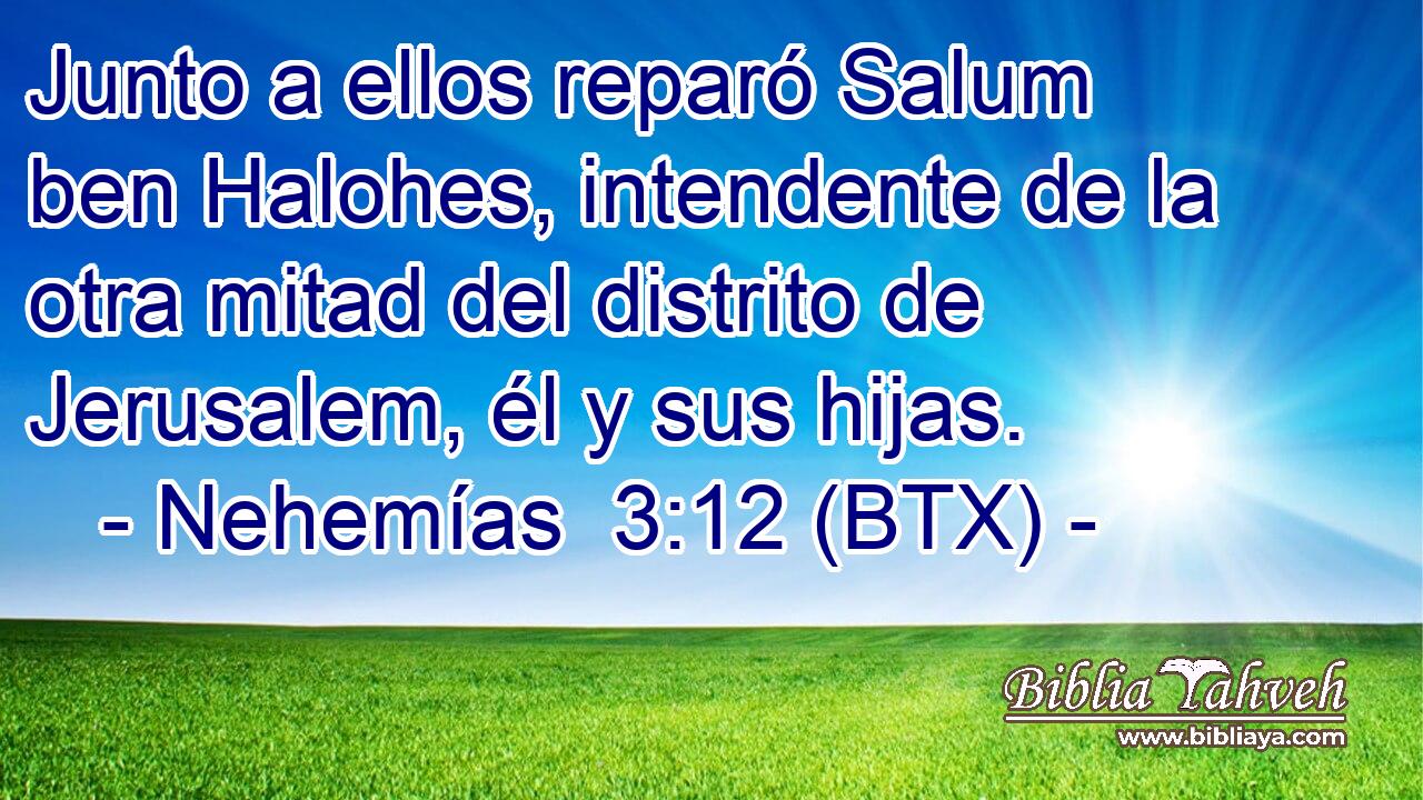 Junto a ellos reparó Salum ben Halohes, intendente de la otra mitad del distrito de Jerusalem, él y sus hijas.