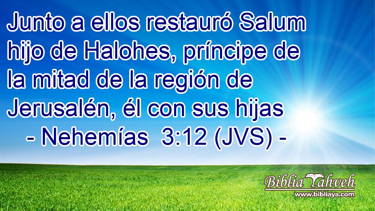 Junto a ellos restauró Salum hijo de Halohes, príncipe de la mitad de la región de Jerusalén, él con sus hijas