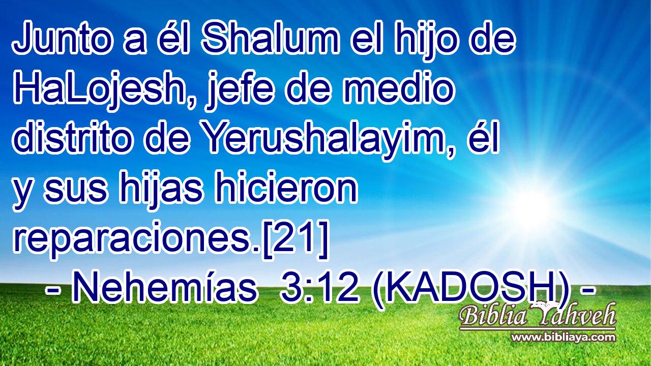  Junto a él Shalum el hijo de HaLojesh, jefe de medio distrito de Yerushalayim, él y sus hijas hicieron reparaciones.[21] 