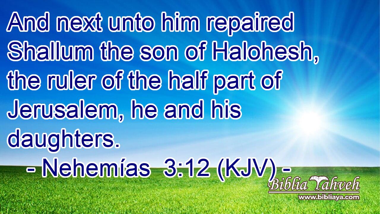And next unto him repaired Shallum the son of Halohesh, the ruler of the half part of Jerusalem, he and his daughters.