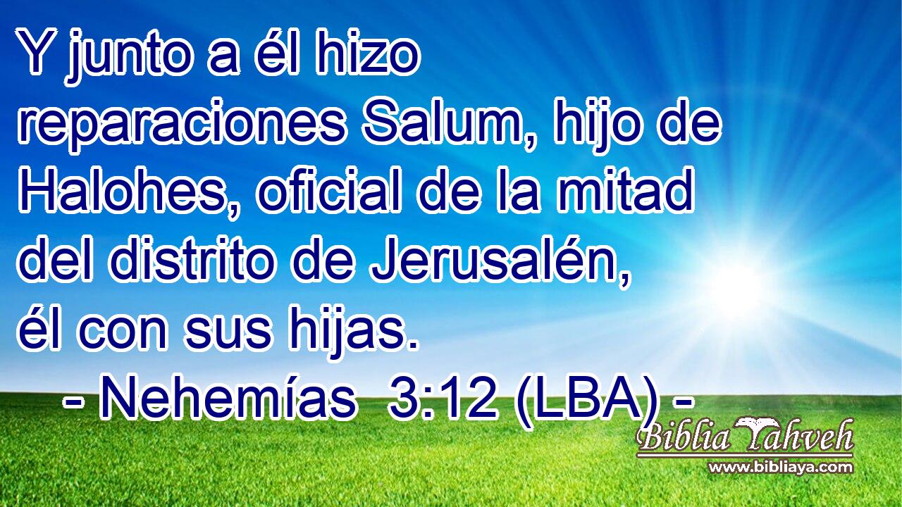 Y junto a él hizo reparaciones Salum, hijo de Halohes, oficial de la mitad del distrito de Jerusalén, él con sus hijas.