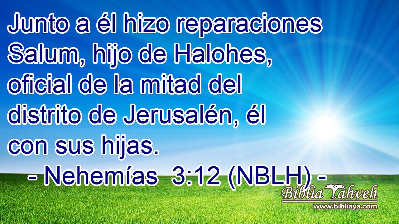  Junto a él hizo reparaciones Salum, hijo de Halohes, oficial de la mitad del distrito de Jerusalén, él con sus hijas. 