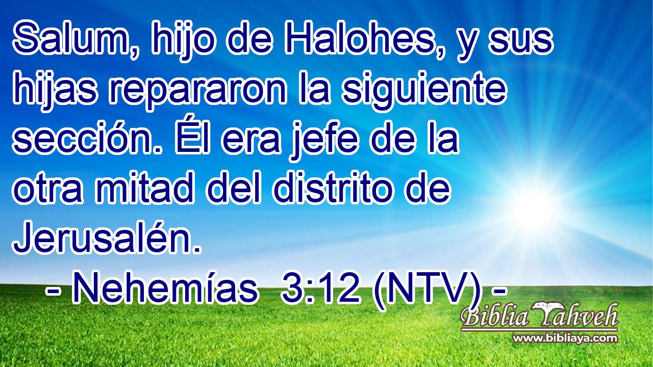 Salum, hijo de Halohes, y sus hijas repararon la siguiente sección. Él era jefe de la otra mitad del distrito de Jerusalén.
