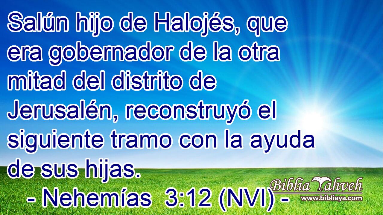  Salún hijo de Halojés, que era gobernador de la otra mitad del distrito de Jerusalén, reconstruyó el siguiente tramo con la ayuda de sus hijas. 
