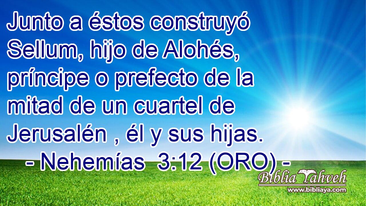  Junto a éstos construyó Sellum, hijo de Alohés, príncipe o prefecto de la mitad de un cuartel de Jerusalén , él y sus hijas. 