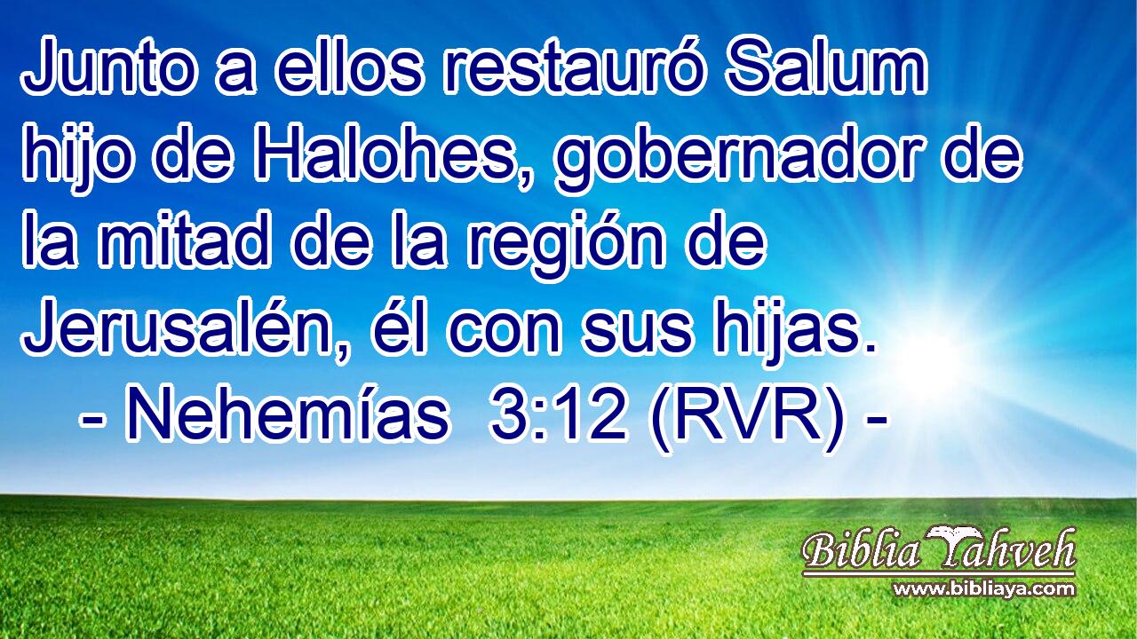 Junto a ellos restauró Salum hijo de Halohes, gobernador de la mitad de la región de Jerusalén, él con sus hijas.