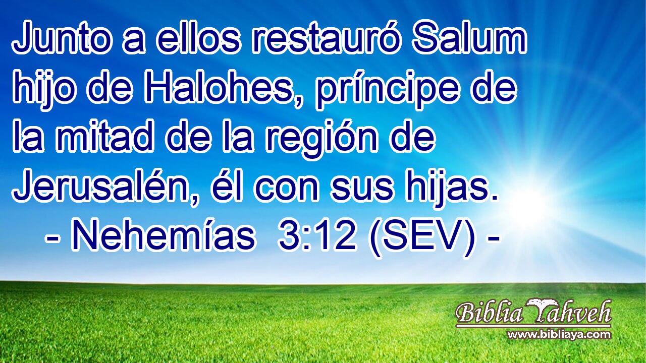 Junto a ellos restauró Salum hijo de Halohes, príncipe de la mitad de la región de Jerusalén, él con sus hijas.