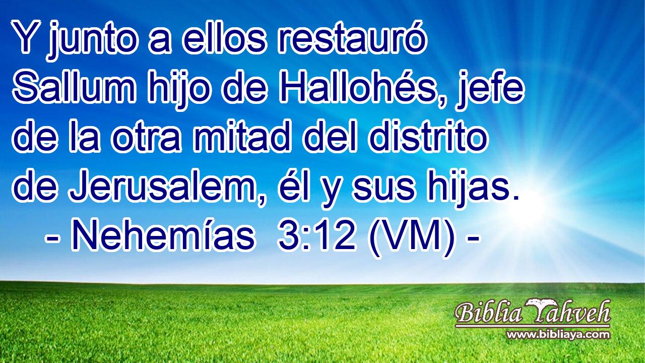  Y junto a ellos restauró Sallum hijo de Hallohés, jefe de la otra mitad del distrito de Jerusalem, él y sus hijas. 