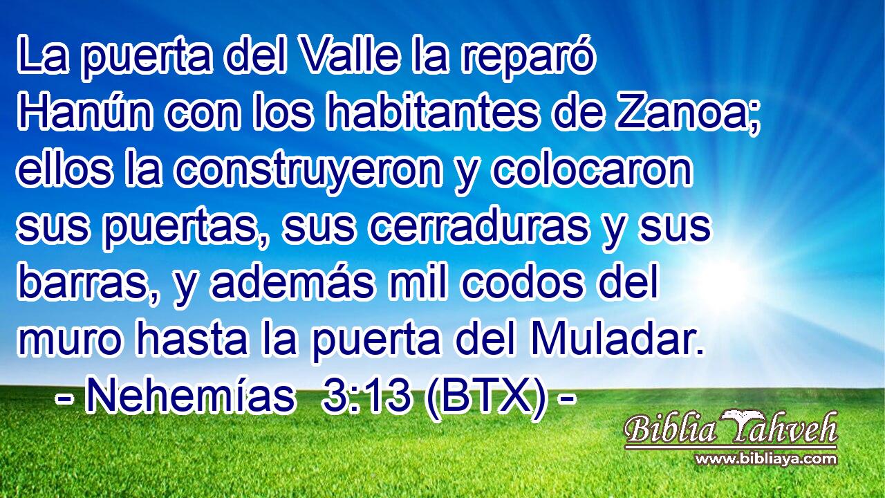 La puerta del Valle la reparó Hanún con los habitantes de Zanoa; ellos la construyeron y colocaron sus puertas, sus cerraduras y sus barras, y además mil codos del muro hasta la puerta del Muladar.
