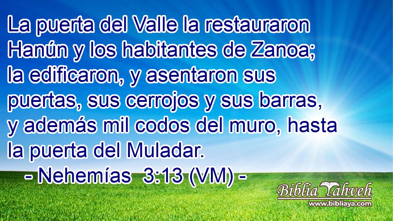  La puerta del Valle la restauraron Hanún y los habitantes de Zanoa; la edificaron, y asentaron sus puertas, sus cerrojos y sus barras, y además mil codos del muro, hasta la puerta del Muladar. 