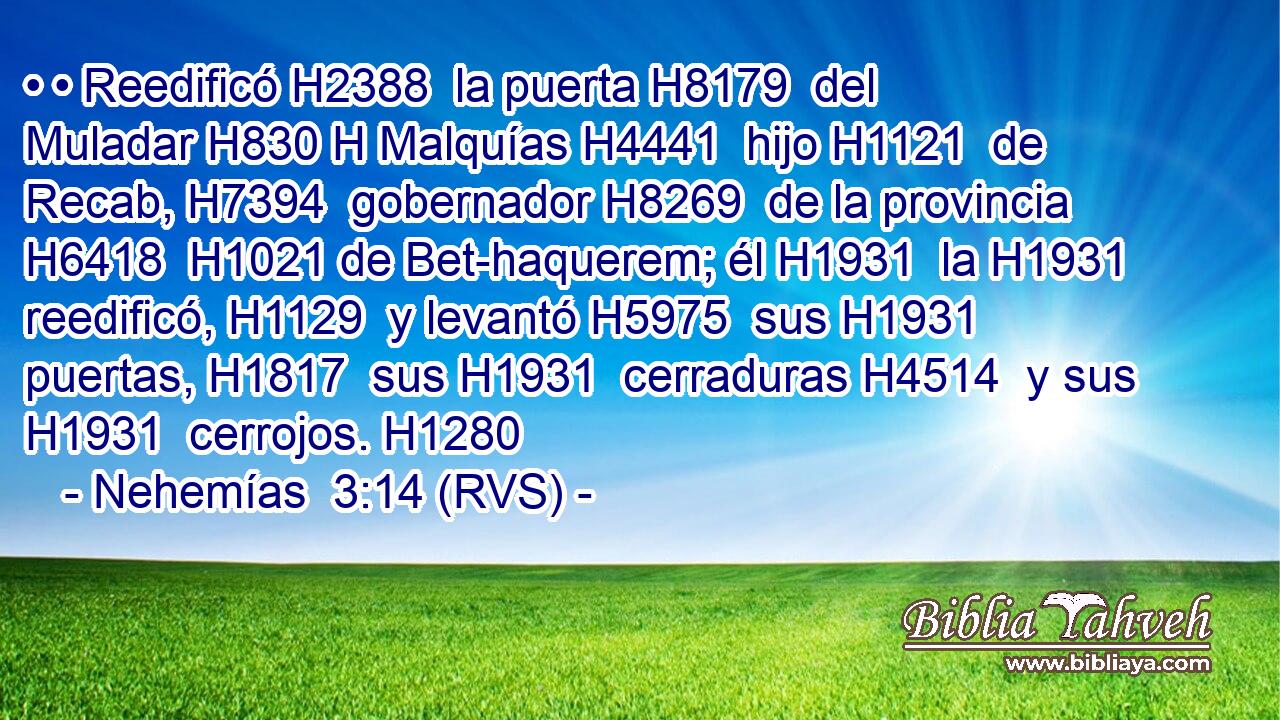 • • Reedificó H2388  la puerta H8179  del Muladar H830 H Malquías H4441  hijo H1121  de Recab, H7394  gobernador H8269  de la provincia H6418  H1021 de Bet-haquerem; él H1931  la H1931  reedificó, H1129  y levantó H5975  sus H1931  puertas, H1817  sus H1931  cerraduras H4514  y sus H1931  cerrojos. H1280  