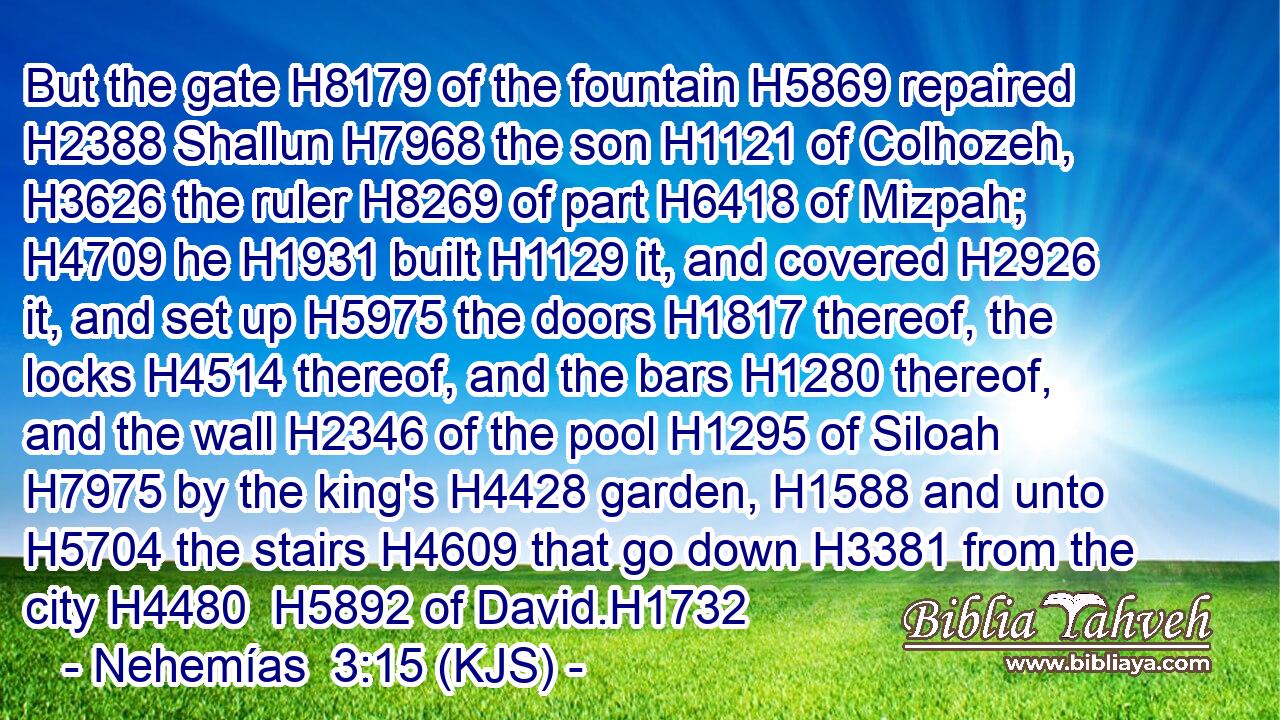 But the gate H8179 of the fountain H5869 repaired H2388 Shallun H7968 the son H1121 of Colhozeh, H3626 the ruler H8269 of part H6418 of Mizpah; H4709 he H1931 built H1129 it, and covered H2926 it, and set up H5975 the doors H1817 thereof, the locks H4514 thereof, and the bars H1280 thereof, and the wall H2346 of the pool H1295 of Siloah H7975 by the king's H4428 garden, H1588 and unto H5704 the stairs H4609 that go down H3381 from the city H4480  H5892 of David.H1732