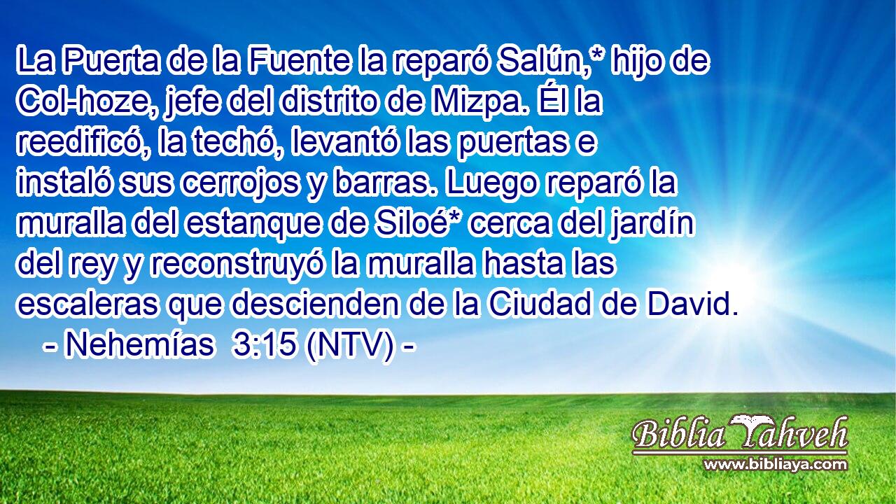 La Puerta de la Fuente la reparó Salún,* hijo de Col-hoze, jefe del distrito de Mizpa. Él la reedificó, la techó, levantó las puertas e instaló sus cerrojos y barras. Luego reparó la muralla del estanque de Siloé* cerca del jardín del rey y reconstruyó la muralla hasta las escaleras que descienden de la Ciudad de David.
