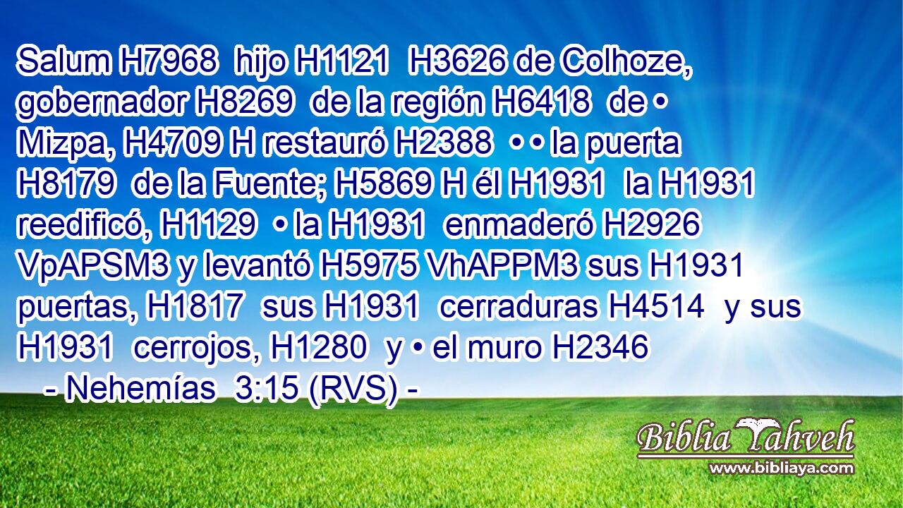 Salum H7968  hijo H1121  H3626 de Colhoze, gobernador H8269  de la región H6418  de • Mizpa, H4709 H restauró H2388  • • la puerta H8179  de la Fuente; H5869 H él H1931  la H1931  reedificó, H1129  • la H1931  enmaderó H2926 VpAPSM3 y levantó H5975 VhAPPM3 sus H1931  puertas, H1817  sus H1931  cerraduras H4514  y sus H1931  cerrojos, H1280  y • el muro H2346 
