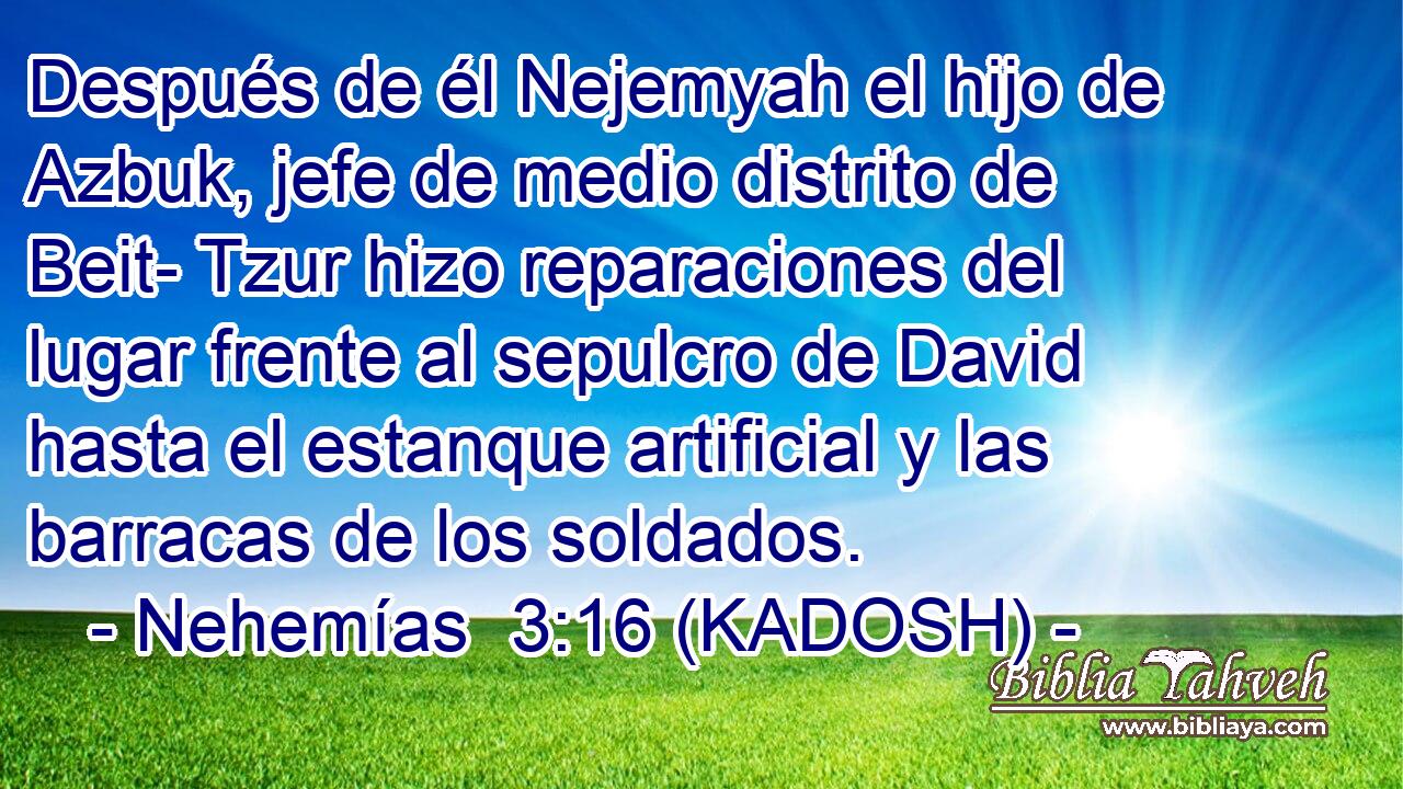  Después de él Nejemyah el hijo de Azbuk, jefe de medio distrito de Beit- Tzur hizo reparaciones del lugar frente al sepulcro de David hasta el estanque artificial y las barracas de los soldados. 