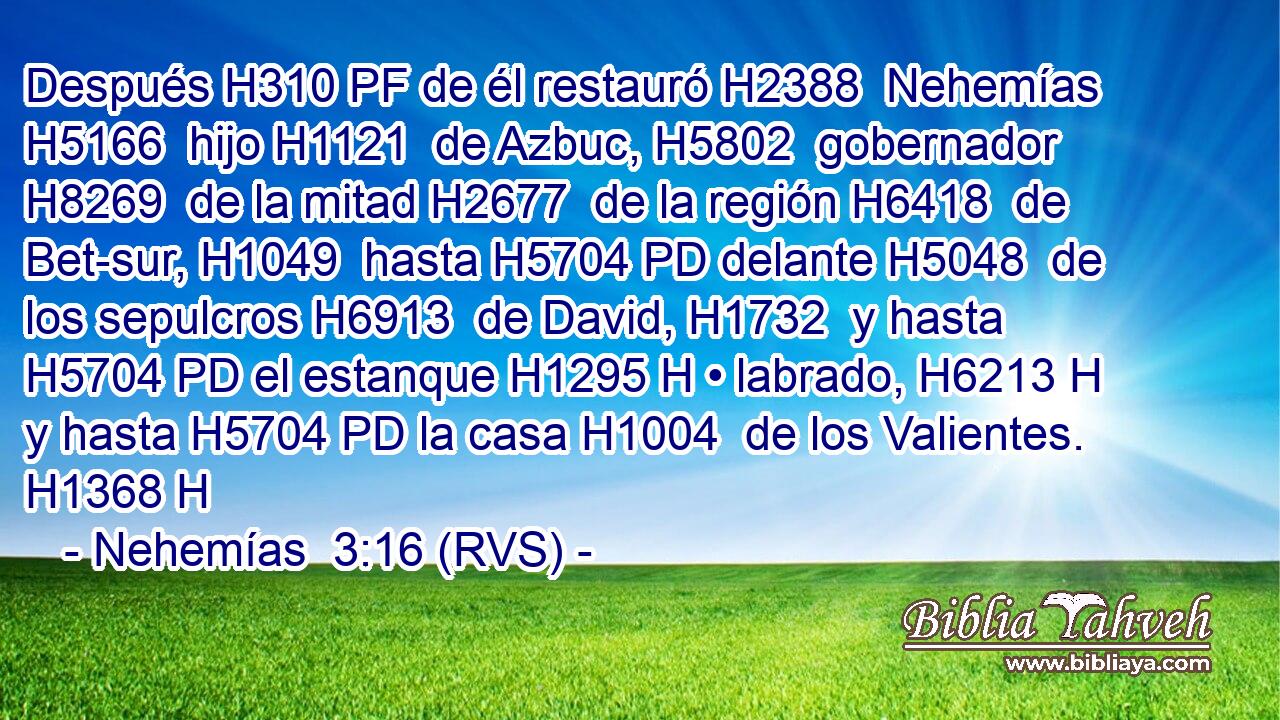 Después H310 PF de él restauró H2388  Nehemías H5166  hijo H1121  de Azbuc, H5802  gobernador H8269  de la mitad H2677  de la región H6418  de Bet-sur, H1049  hasta H5704 PD delante H5048  de los sepulcros H6913  de David, H1732  y hasta H5704 PD el estanque H1295 H • labrado, H6213 H y hasta H5704 PD la casa H1004  de los Valientes. H1368 H 