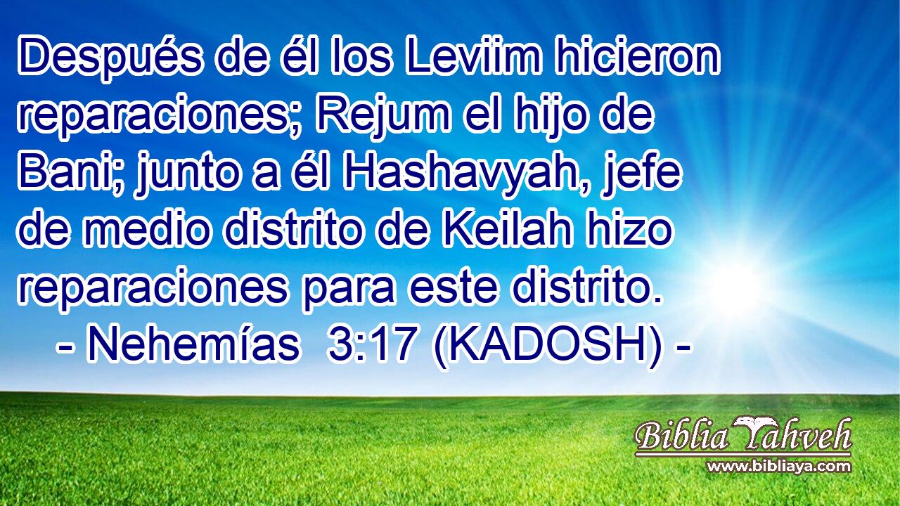  Después de él los Leviim hicieron reparaciones; Rejum el hijo de Bani; junto a él Hashavyah, jefe de medio distrito de Keilah hizo reparaciones para este distrito. 