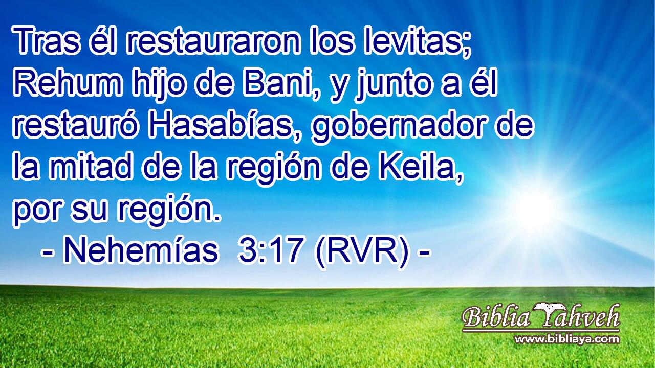 Tras él restauraron los levitas; Rehum hijo de Bani, y junto a él restauró Hasabías, gobernador de la mitad de la región de Keila, por su región.