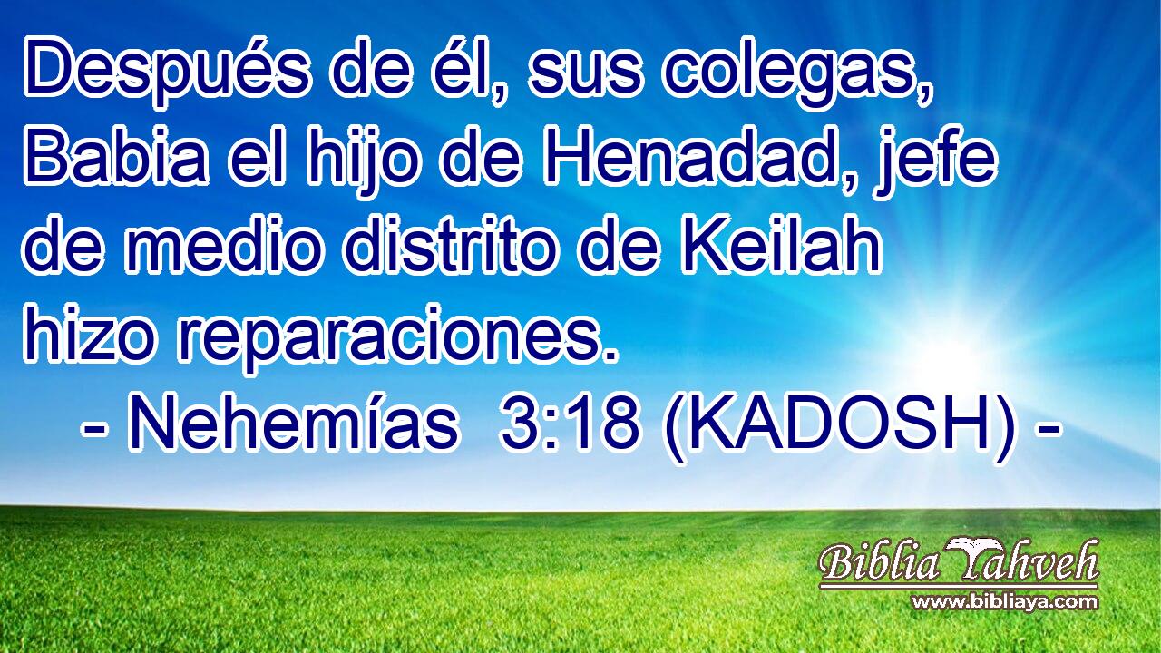  Después de él, sus colegas, Babia el hijo de Henadad, jefe de medio distrito de Keilah hizo reparaciones. 