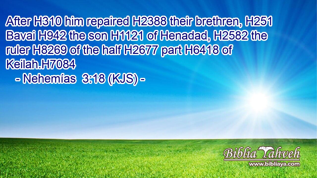 After H310 him repaired H2388 their brethren, H251 Bavai H942 the son H1121 of Henadad, H2582 the ruler H8269 of the half H2677 part H6418 of Keilah.H7084