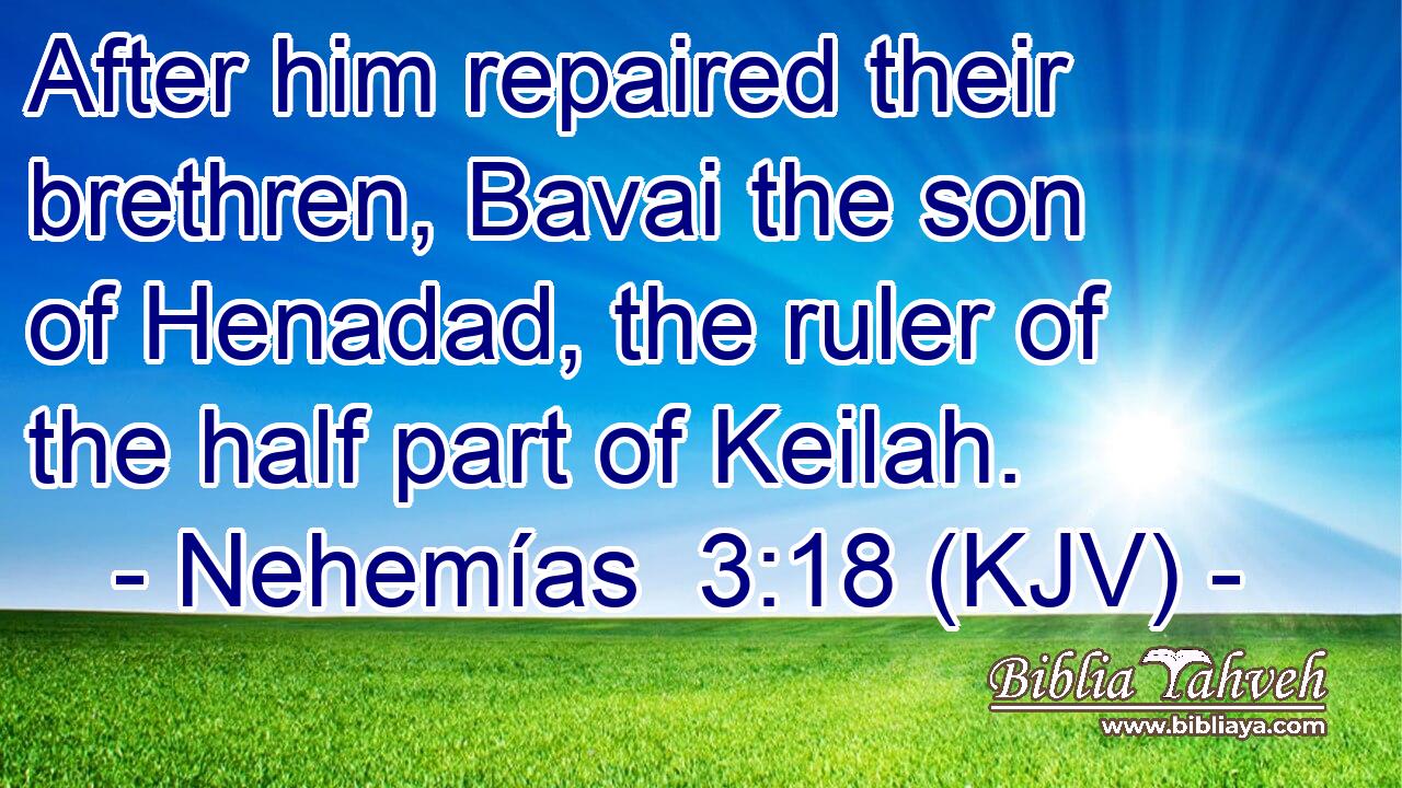 After him repaired their brethren, Bavai the son of Henadad, the ruler of the half part of Keilah.