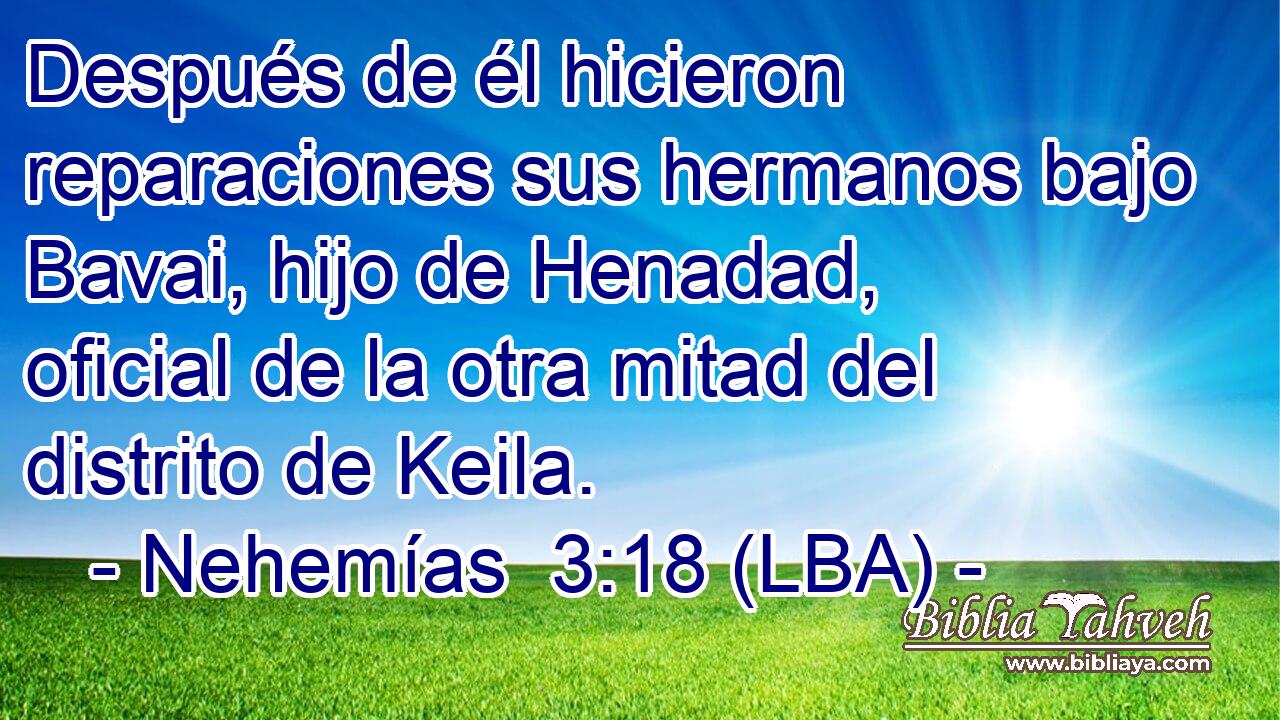 Después de él hicieron reparaciones sus hermanos bajo Bavai, hijo de Henadad, oficial de la otra mitad del distrito de Keila.