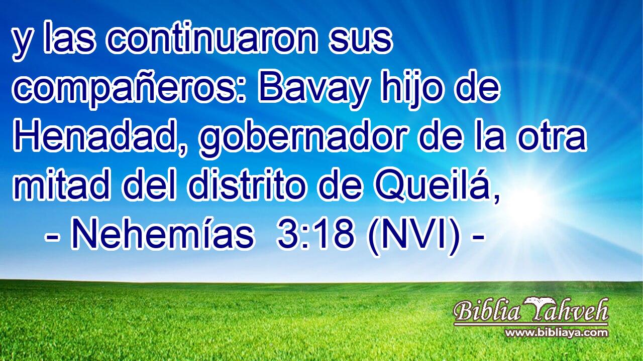  y las continuaron sus compañeros: Bavay hijo de Henadad, gobernador de la otra mitad del distrito de Queilá, 