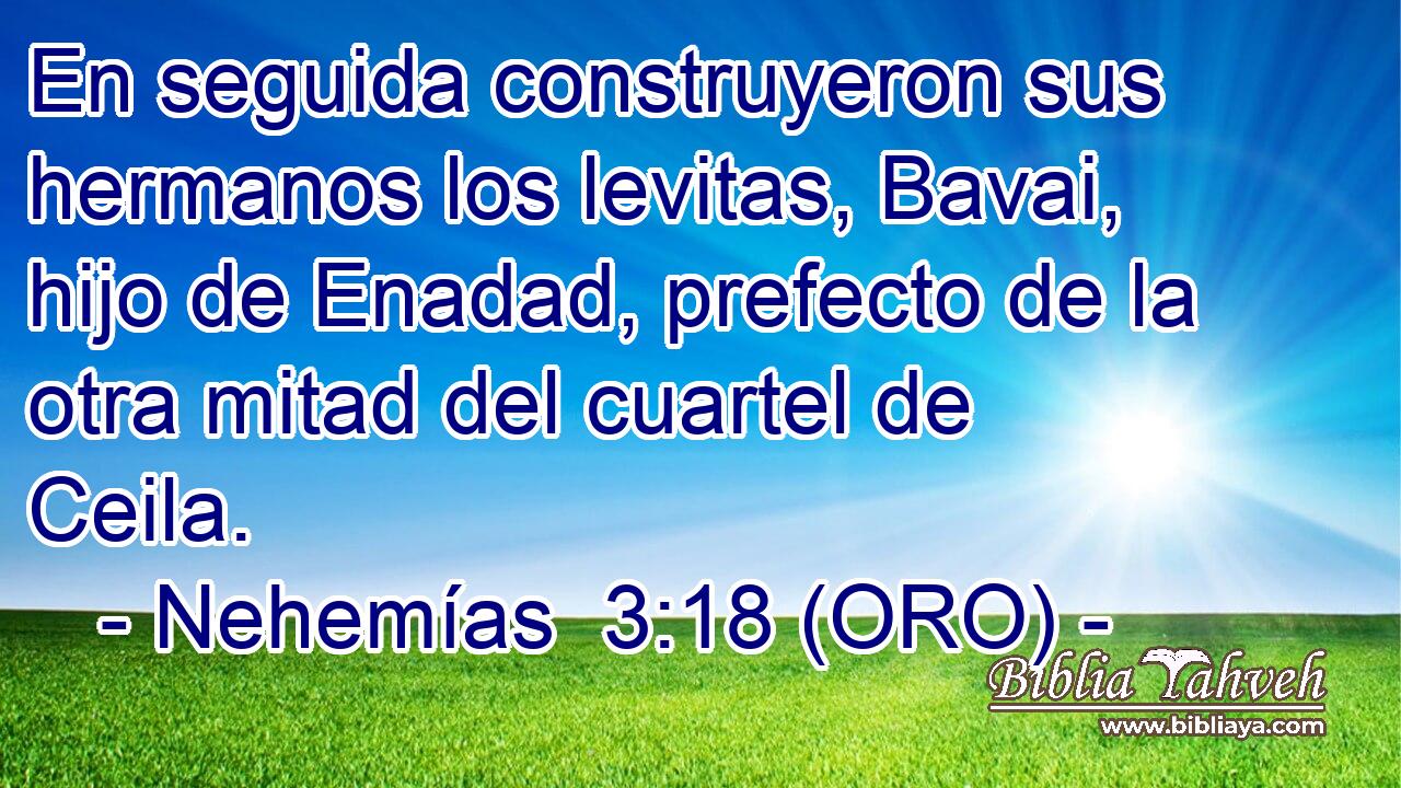  En seguida construyeron sus hermanos los levitas, Bavai, hijo de Enadad, prefecto de la otra mitad del cuartel de Ceila. 