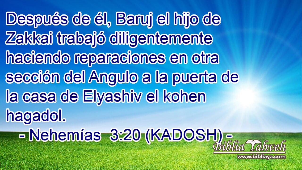  Después de él, Baruj el hijo de Zakkai trabajó diligentemente haciendo reparaciones en otra sección del Angulo a la puerta de la casa de Elyashiv el kohen hagadol. 