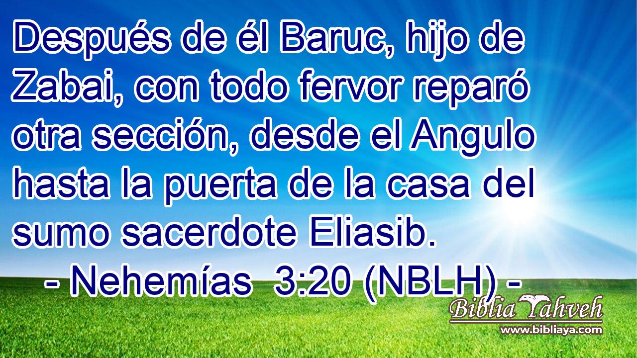  Después de él Baruc, hijo de Zabai, con todo fervor reparó otra sección, desde el Angulo hasta la puerta de la casa del sumo sacerdote Eliasib. 